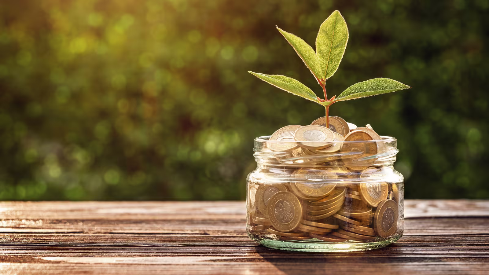 Are You Saving Enough for Retirement? The Math That Will Shock You